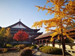 -浙江大学(紫金港校区)