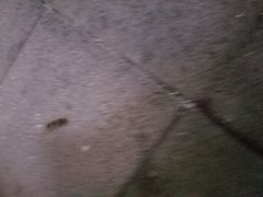 -星巴克臻选(嘉兴海宁银泰城店)