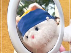 -深圳湾万象城(南山店)