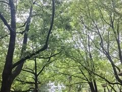 -先锋书店(五台山总店)