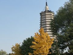 -舍利塔滩地公园-无垢净光舍利塔