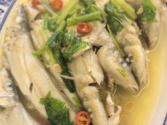 -桂园白粥·潮汕老味道