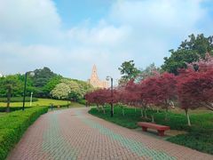 -中央公园(苏州工业园区)