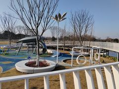-贡湖湾湿地公园