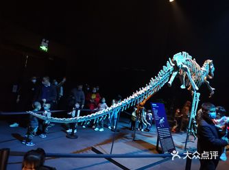 秒杀到的优惠卷，阳光明媚的下午去看展，在熊猫基地外面
