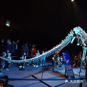 秒杀到的优惠卷，阳光明媚的下午去看展，在熊猫基地外面