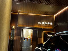 -金色希望596