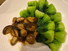 -乐忻皇朝(上海中心大厦店)