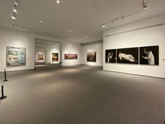 -四川美术学院美术馆