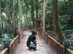 -天门沟九州驿站树上汤泉