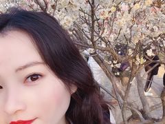 -蜀冈西峰生态公园