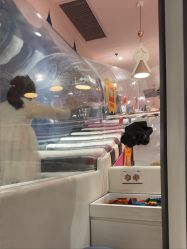 点击看大图 -奈尔宝·儿童乐园·亲子餐厅(前滩店)