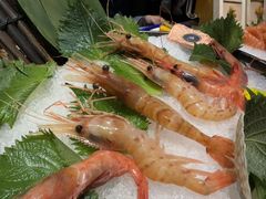 -極上萬膳·日料放题(海岸城店)