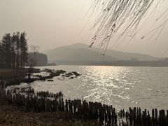 -长广溪湿地公园