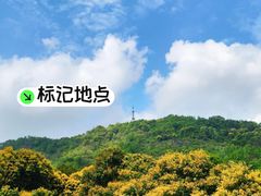 -风云岭森林公园