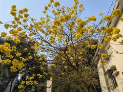 -人民公园(罗湖区)