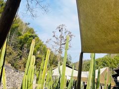 -MOJ coffee(瓯海泽雅水碓坑店)