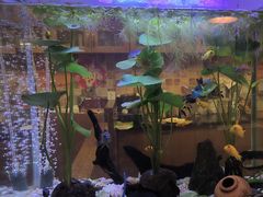-意卡菲·欢乐聚会餐厅(华侨店)