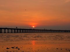 -宝安西湾红树林湿地公园