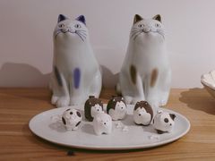 -猫里有甜