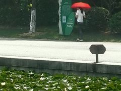 -尚贤河湿地