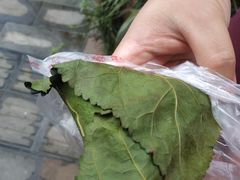 -叶婆婆豆浆馍馍