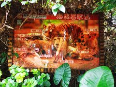 -海南热带野生动植物园