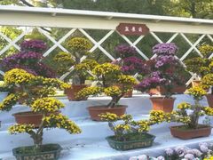 android_upload_pic-迎泽公园