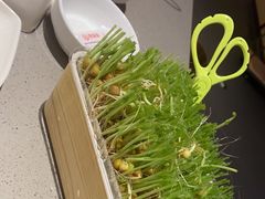 -海底捞火锅(扬名广场店)