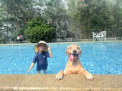 -汪说喵讲宠物乐园宠物酒店(红星美凯龙店)