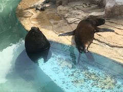 -太平洋海底世界