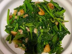 炒芥兰苗-朝郡酒家·粤菜(燕大星苑店)