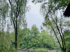 -西溪国家湿地公园