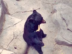 -石家庄市动物园