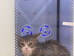 -悠尼宠物·独立低压伊珊娜洗护·美容·寄养(兰谷路店)