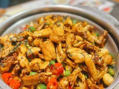 青椒紫苏牛蛙锅-蛙小侠(卓悦里店)