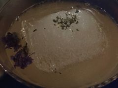 -Sirena海妖日咖夜酒