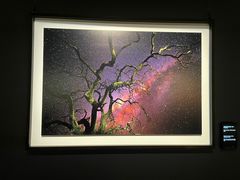 -罗红摄影艺术馆