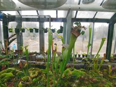 -国家植物园南园