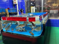 -明本湛江鸡•海鲜小厨(陈家祠店)