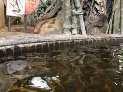 -龙达温泉生态城
