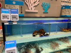 -盒马鲜生(顺义店)