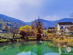 -树山生态村