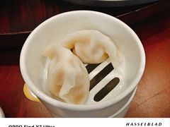-喜鼎海胆水饺(东港店)