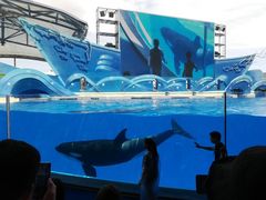 -上海海昌海洋公园-停车场