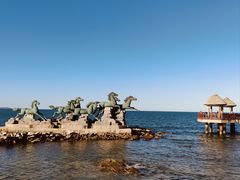-养马岛旅游度假区