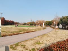 -苏州太湖国家湿地公园