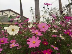 iphone_upload_pic-盈香心动乐园