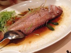iphone_upload_pic-陶陶居海鲜酒家(新马路店)