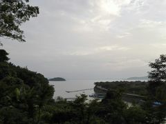 -上海市保健医疗中心(华东疗养院)